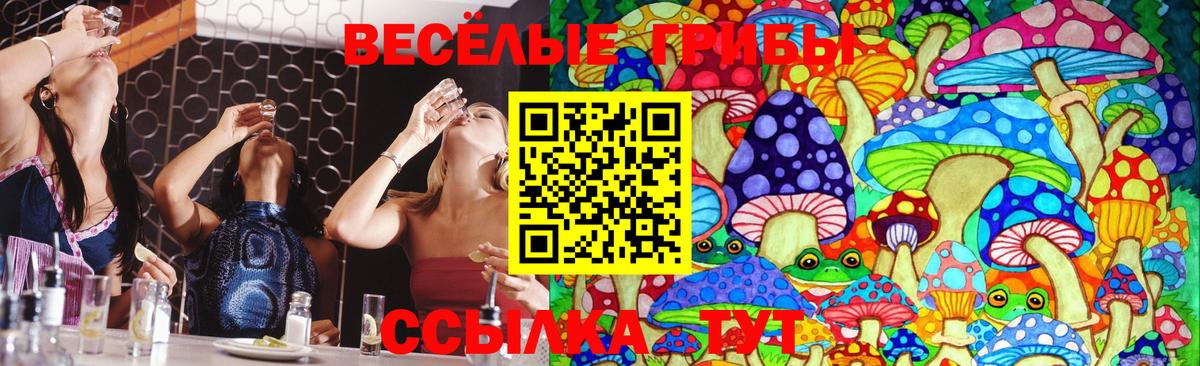 Псилоцибиновые грибы прущие грибы Советская Гавань
